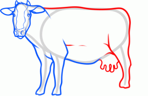 kak narisovat korovu1094